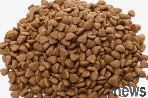 How to choose good dog food? Let s take a look