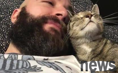 The cat tries its best to wake its owner up, it’s so cute