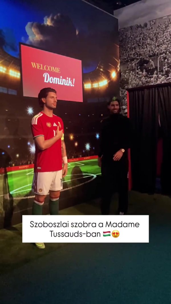 📸Sorbo’s wax figure was unveiled in Hungary. Sobo took a closer look to see if it looks like him?